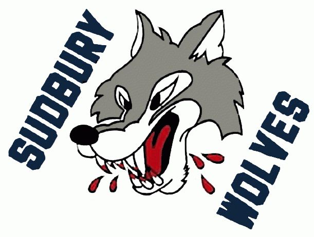 Sudbury Wolves 1989-2009 jersey logo iron on heat transfer